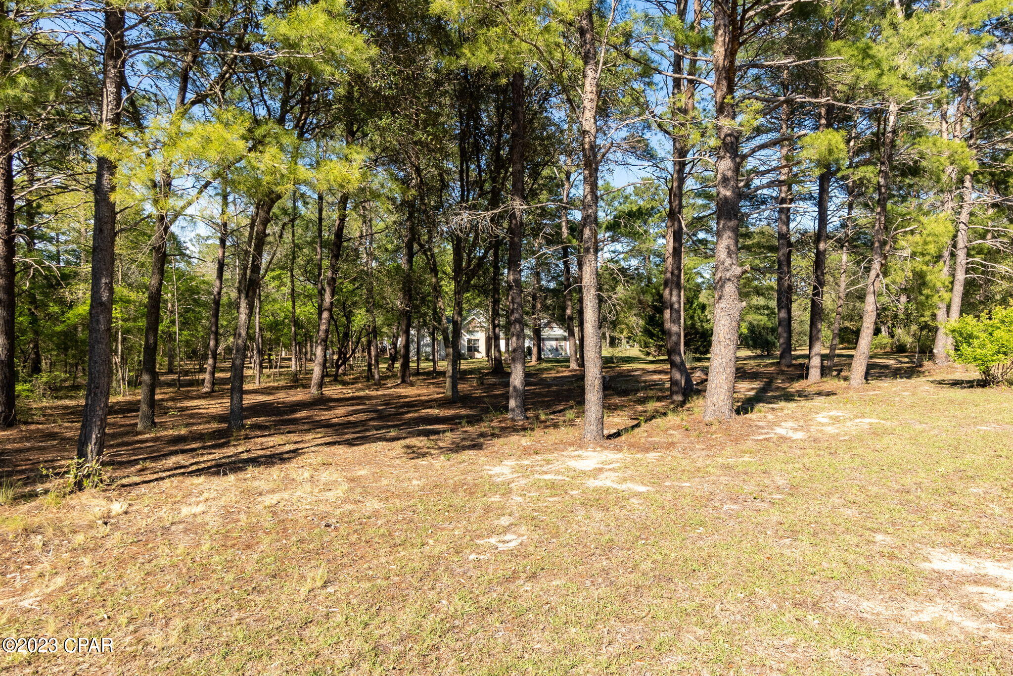 2420 Dumajack Road Chipley, FL 32428 - Photo 26 of 43 Gallery Image 26