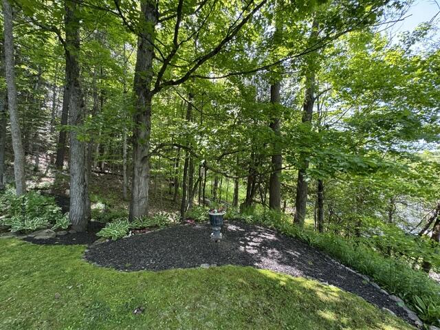 74 Old Lake Colby Road Saranac Lake, NY 12983 - Photo 30 of 41