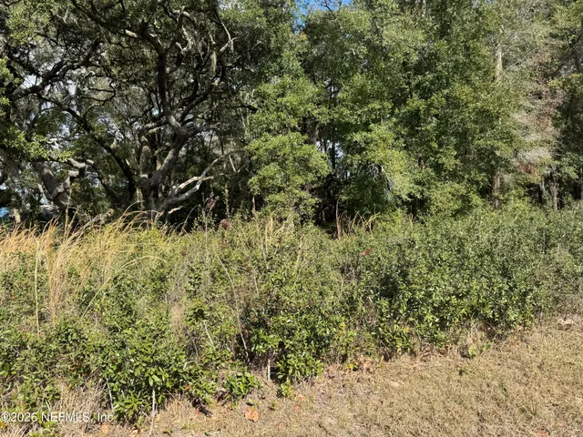 a view of a yard with a tree