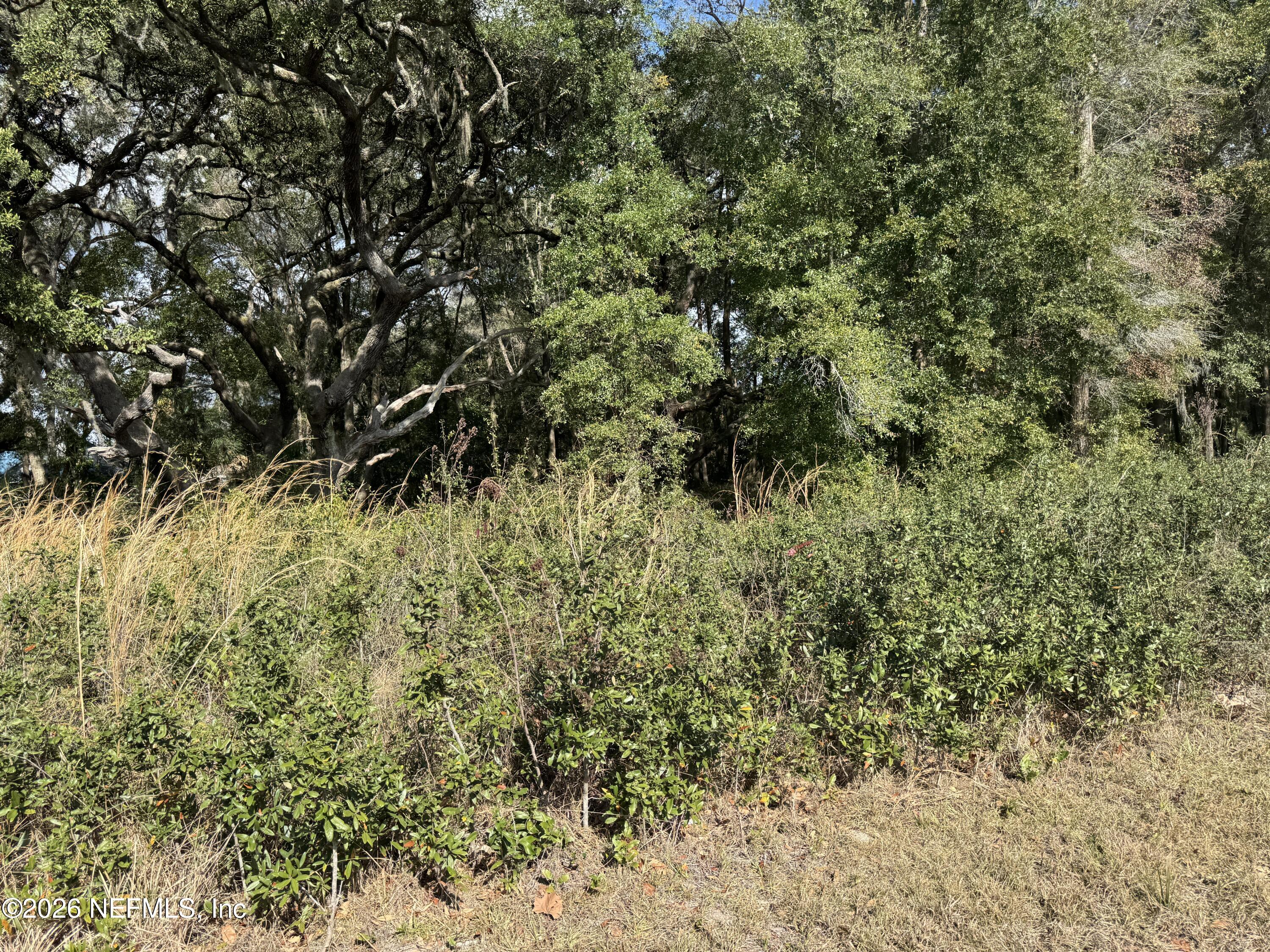 1042 Highway 20 Interlachen, FL 32148 - Photo 7 of 10 a view of a yard with a tree
