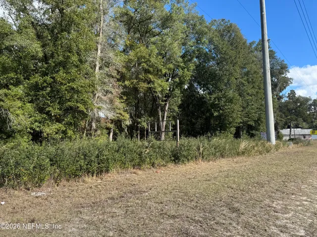 a backyard of a house with lots of trees