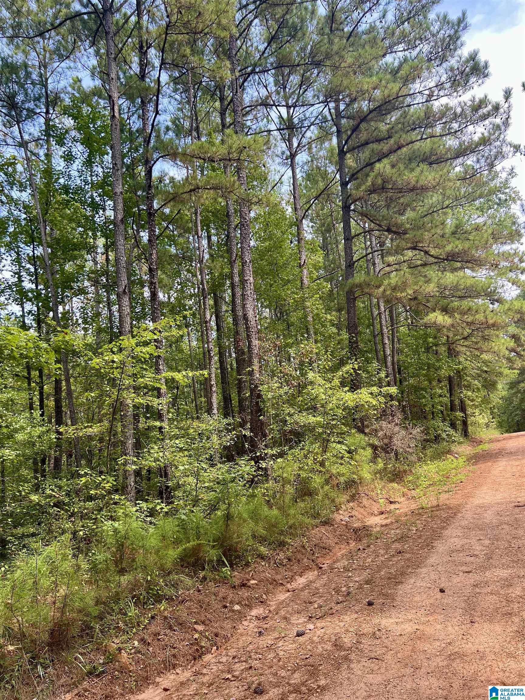 252 County Road 252 Wedowee, AL 36278 - Photo 2 of 9