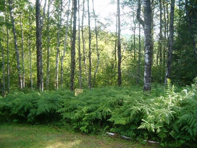 687 North Perley Brook Road Fort Kent, ME 04743 - Photo 15 of 17 IMG_2374