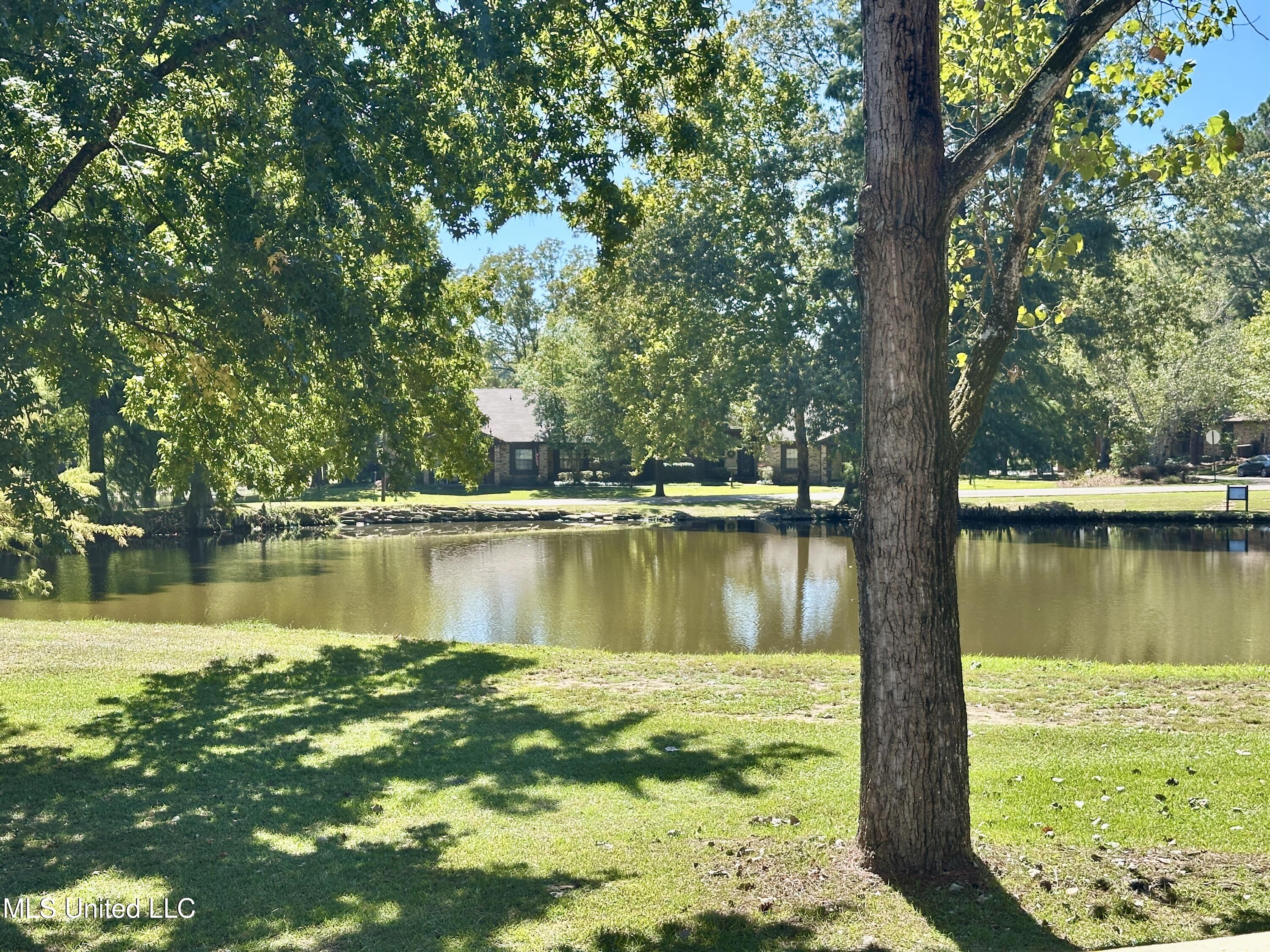 157 Caribbean Cove Clinton, MS 39056 - Photo 31 of 39 Neighborhood Lake backs up to Home