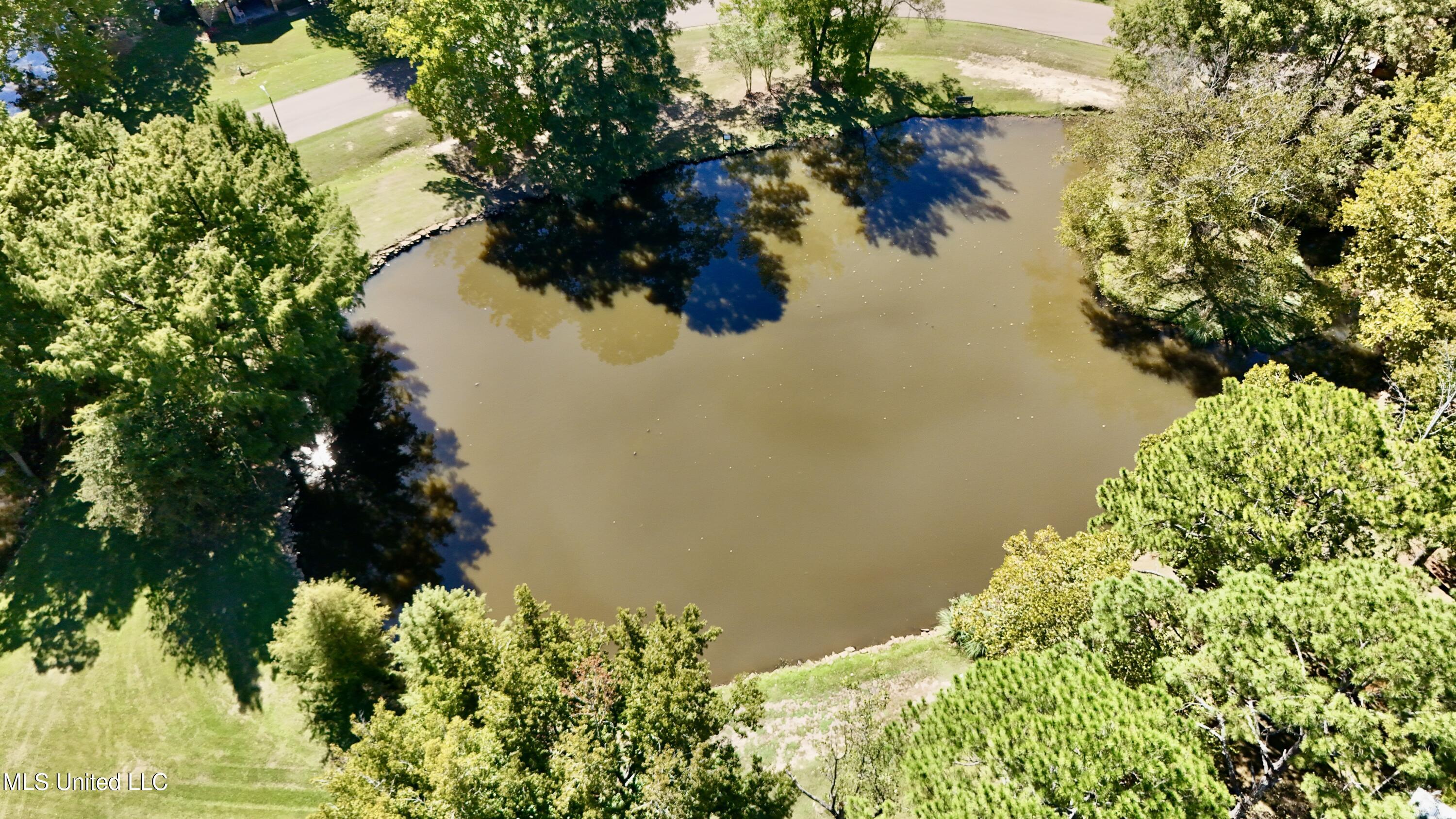 157 Caribbean Cove Clinton, MS 39056 - Photo 33 of 39 AERIAL VIEW OF LAKE BEHIND HOME