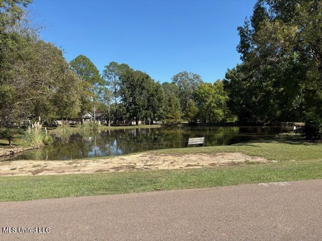 157 Caribbean Cove Clinton, MS 39056 - Photo 37 of 39 CASCADES LAKE BACKING UP TO CARIBBEAN CO