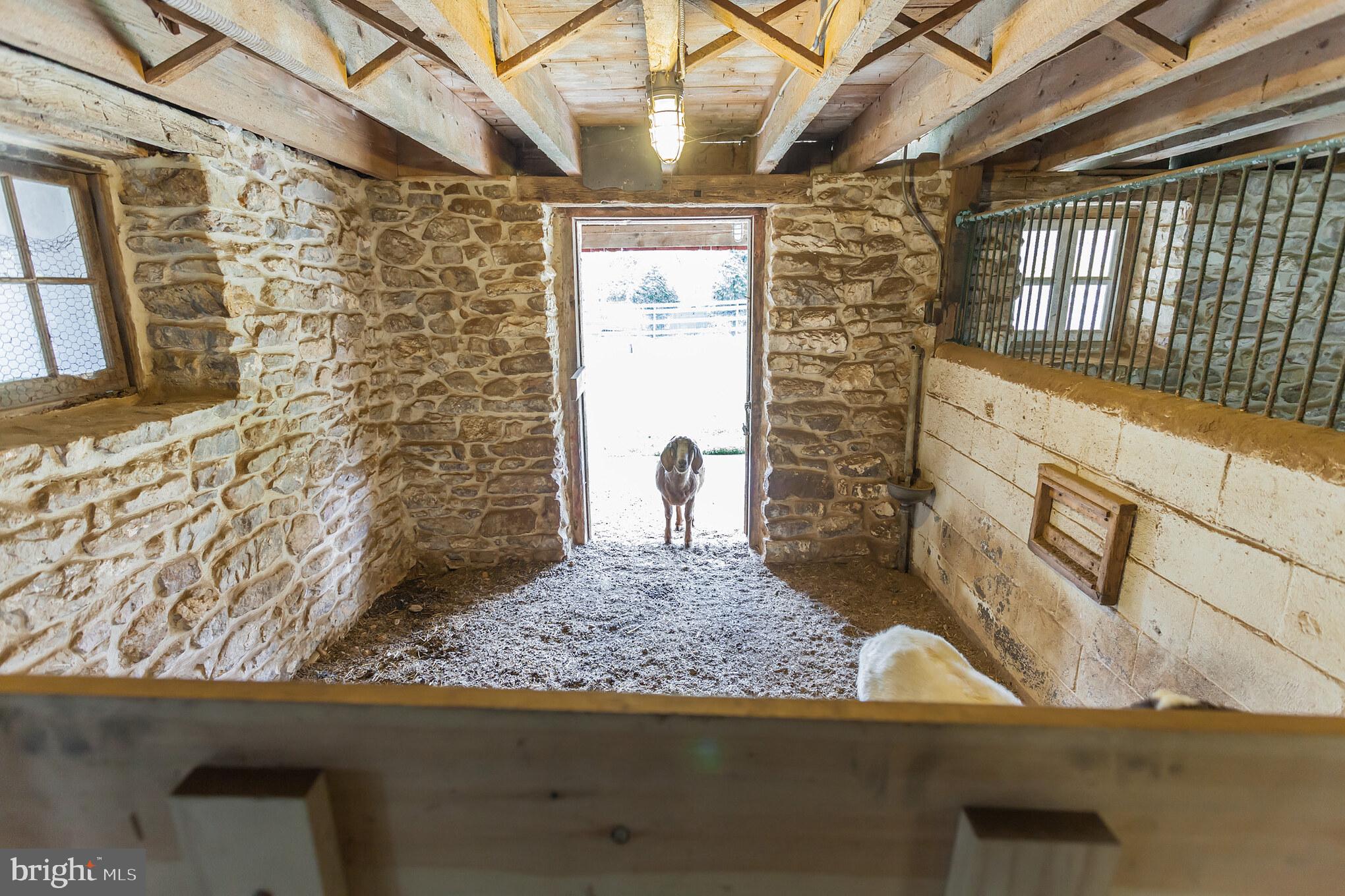 1571 North Valley Road Malvern, PA 19355 - Photo 82 of 93 4 horse stalls - also great for goats!