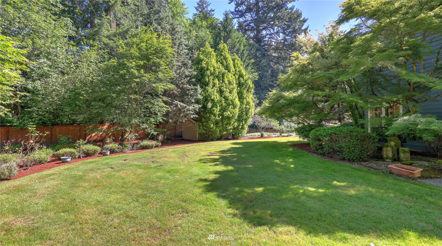 16038 Southeast 125th Street Renton, WA 98059 - Photo 7 of 34 a view of yard with swimming pool and trees