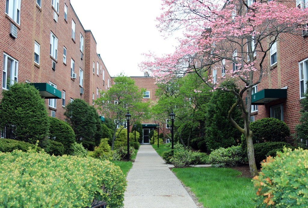 45 Colborne Road, Unit 5 Boston, MA 02135 - Photo 1 of 9 Gallery Image 1