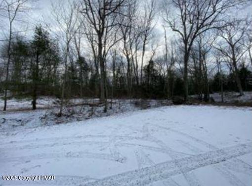Lot 534 Weasel Road Dingmans Ferry, PA 18328 - Photo 2 of 6 a view of outdoor space with lots of trees