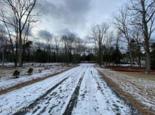 Lot 534 Weasel Road Dingmans Ferry, PA 18328 - Photo 4 of 6 a view of a backyard with green space
