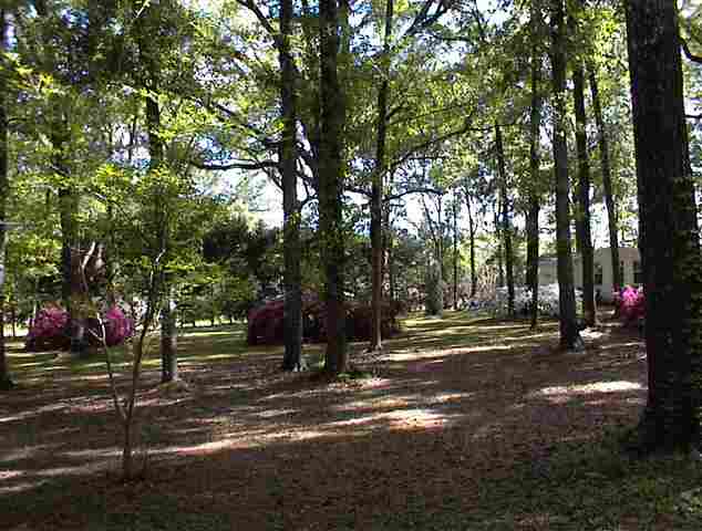 765 Old Lloyd Road Monticello, FL 32344 - Photo 11 of 25 Gallery Image 11
