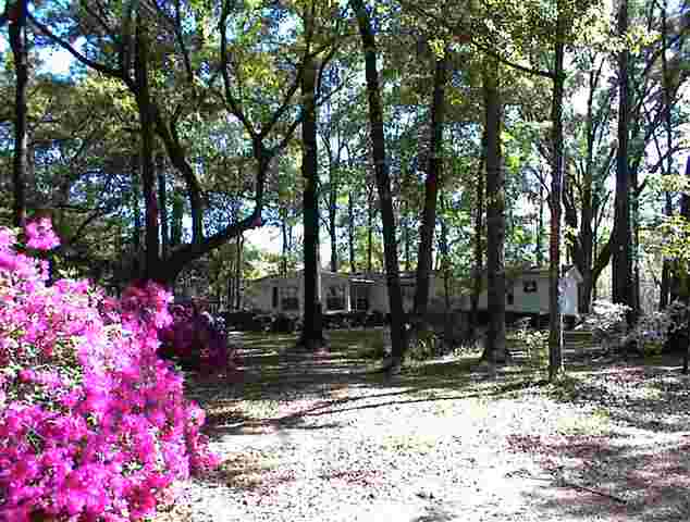 765 Old Lloyd Road Monticello, FL 32344 - Photo 12 of 25 Gallery Image 12