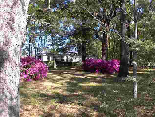 765 Old Lloyd Road Monticello, FL 32344 - Photo 14 of 25 Gallery Image 14
