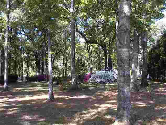 765 Old Lloyd Road Monticello, FL 32344 - Photo 16 of 25 Gallery Image 16