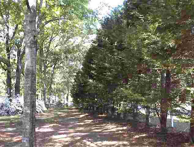 765 Old Lloyd Road Monticello, FL 32344 - Photo 17 of 25 Gallery Image 17