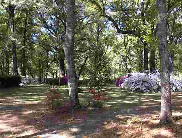765 Old Lloyd Road Monticello, FL 32344 - Photo 18 of 25 Gallery Image 18