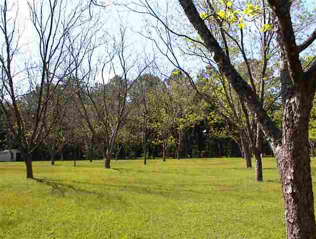765 Old Lloyd Road Monticello, FL 32344 - Photo 4 of 25 Gallery Image 4