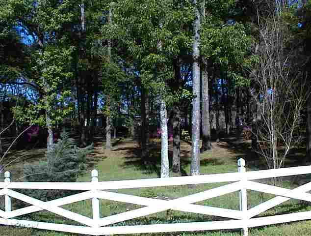 765 Old Lloyd Road Monticello, FL 32344 - Photo 5 of 25 Gallery Image 5