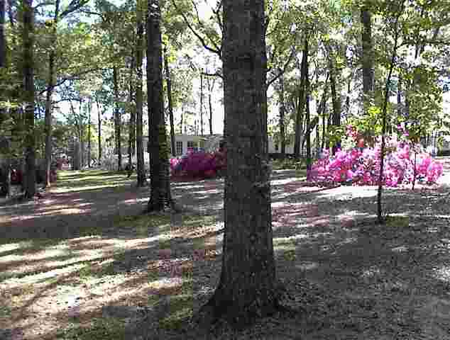 765 Old Lloyd Road Monticello, FL 32344 - Photo 6 of 25 Gallery Image 6