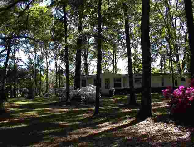 765 Old Lloyd Road Monticello, FL 32344 - Photo 7 of 25 Gallery Image 7