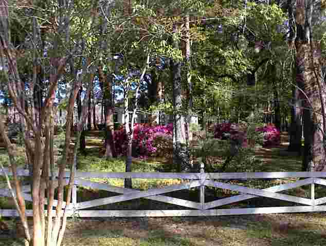 765 Old Lloyd Road Monticello, FL 32344 - Photo 9 of 25 Gallery Image 9