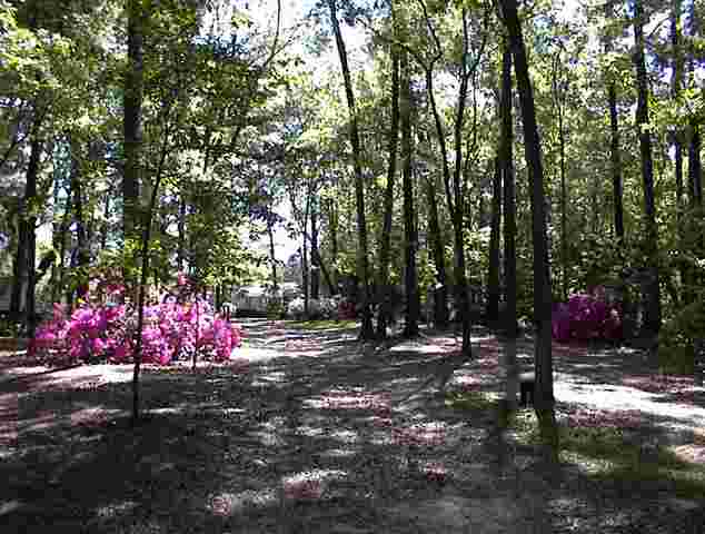 765 Old Lloyd Road Monticello, FL 32344 - Photo 10 of 25 Gallery Image 10