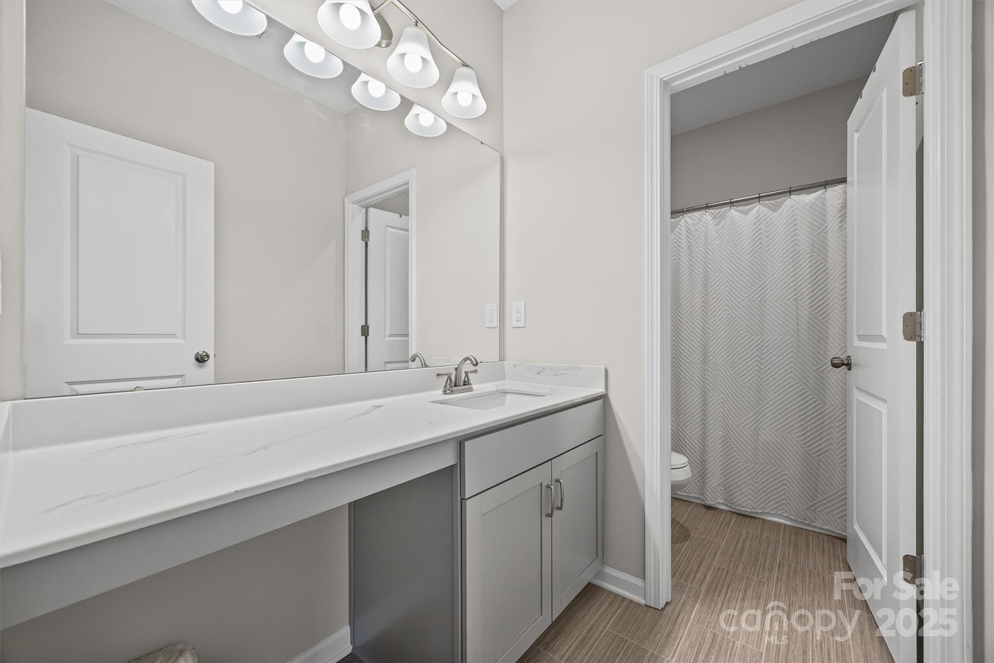 328 Cold Crk Way Mount Holly, NC 28120 - Photo 14 of 24 a bathroom with a sink a large mirror and a light fixture