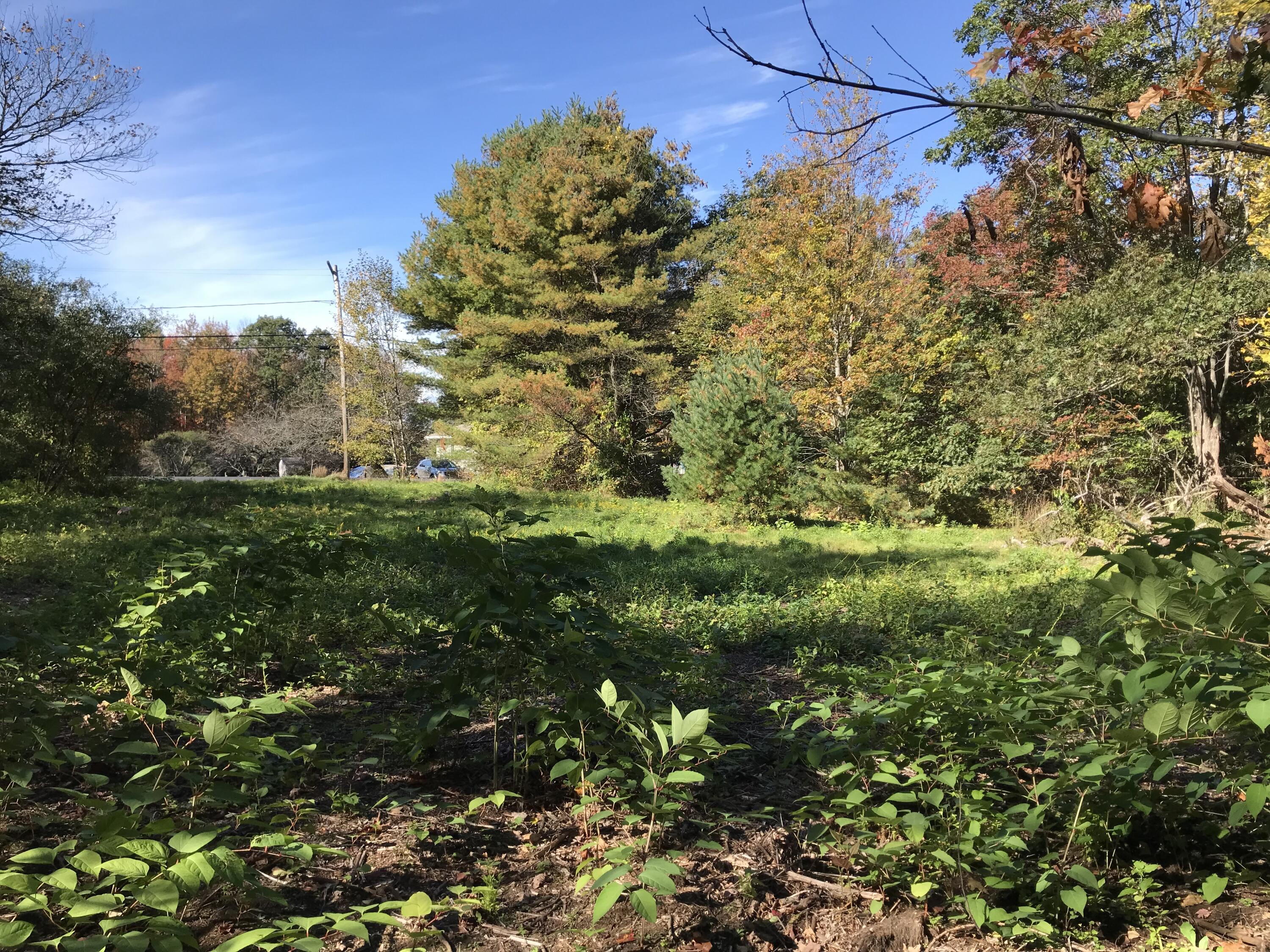 9-180 Woodside Road Brunswick, ME 04011 - Photo 3 of 13 IMG_2777