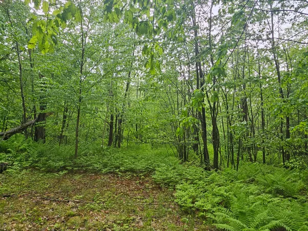 $295,000 | 0 Fayette Ridge Road, Kents Hill, ME 04349