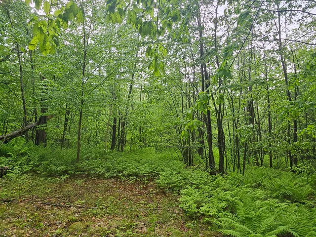 $300,000 | 0 Fayette Ridge Road, Kents Hill, ME 04349