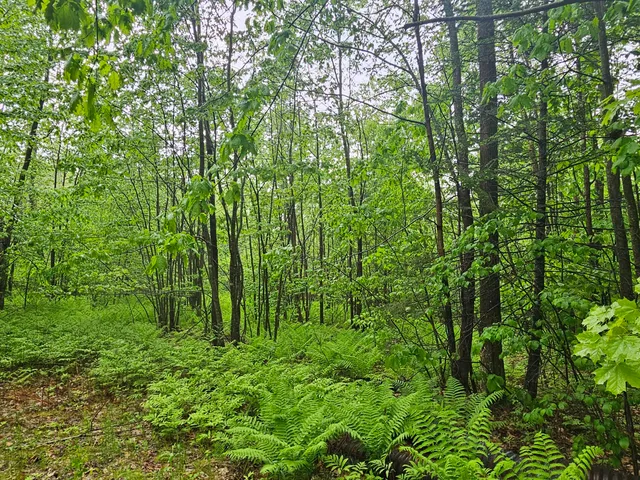 $300,000 | 0 Fayette Ridge Road, Kents Hill, ME 04349