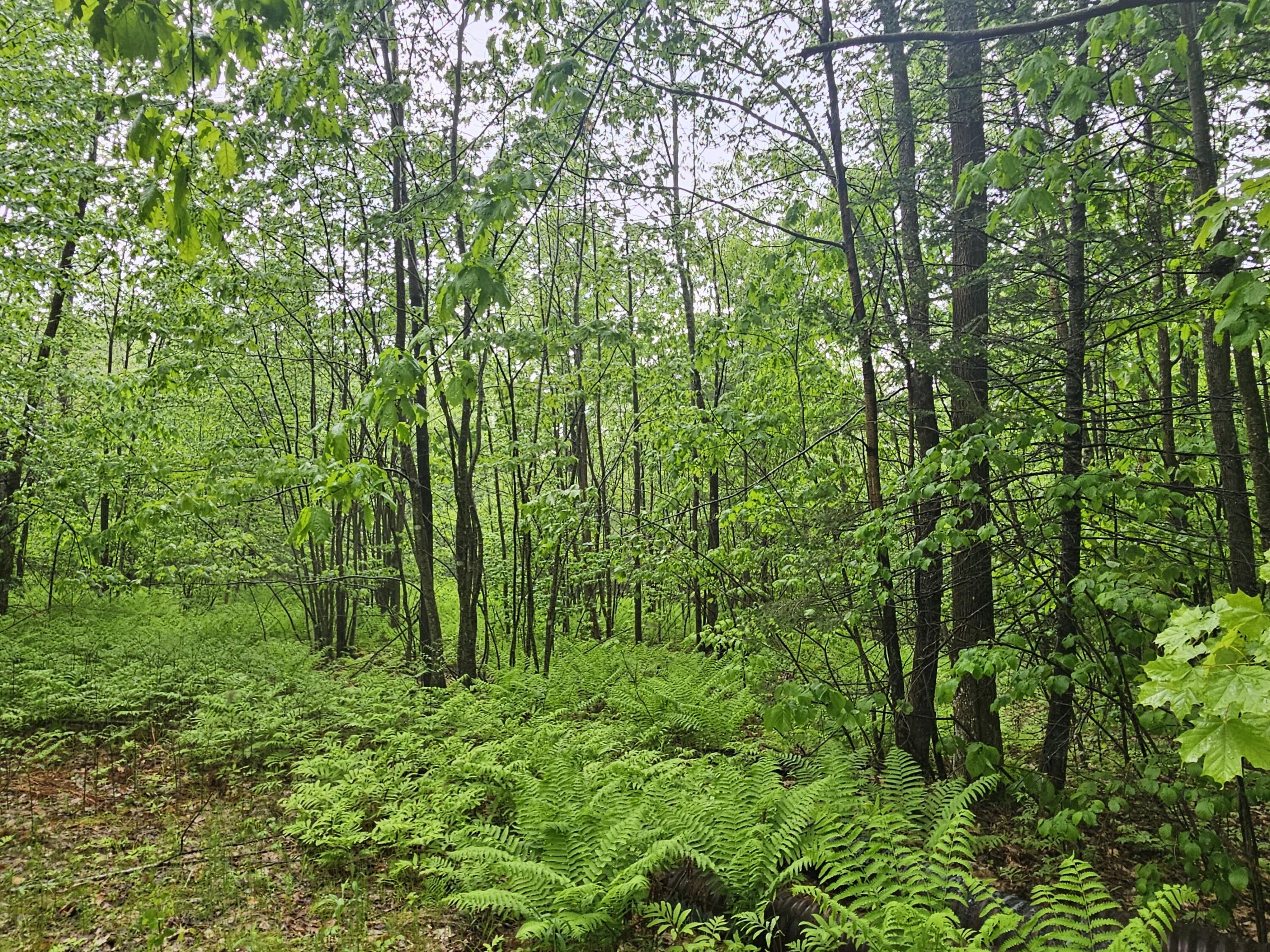 0 Fayette Ridge Road Kents Hill, ME 04349 - Photo 4 of 9 20240523_143811