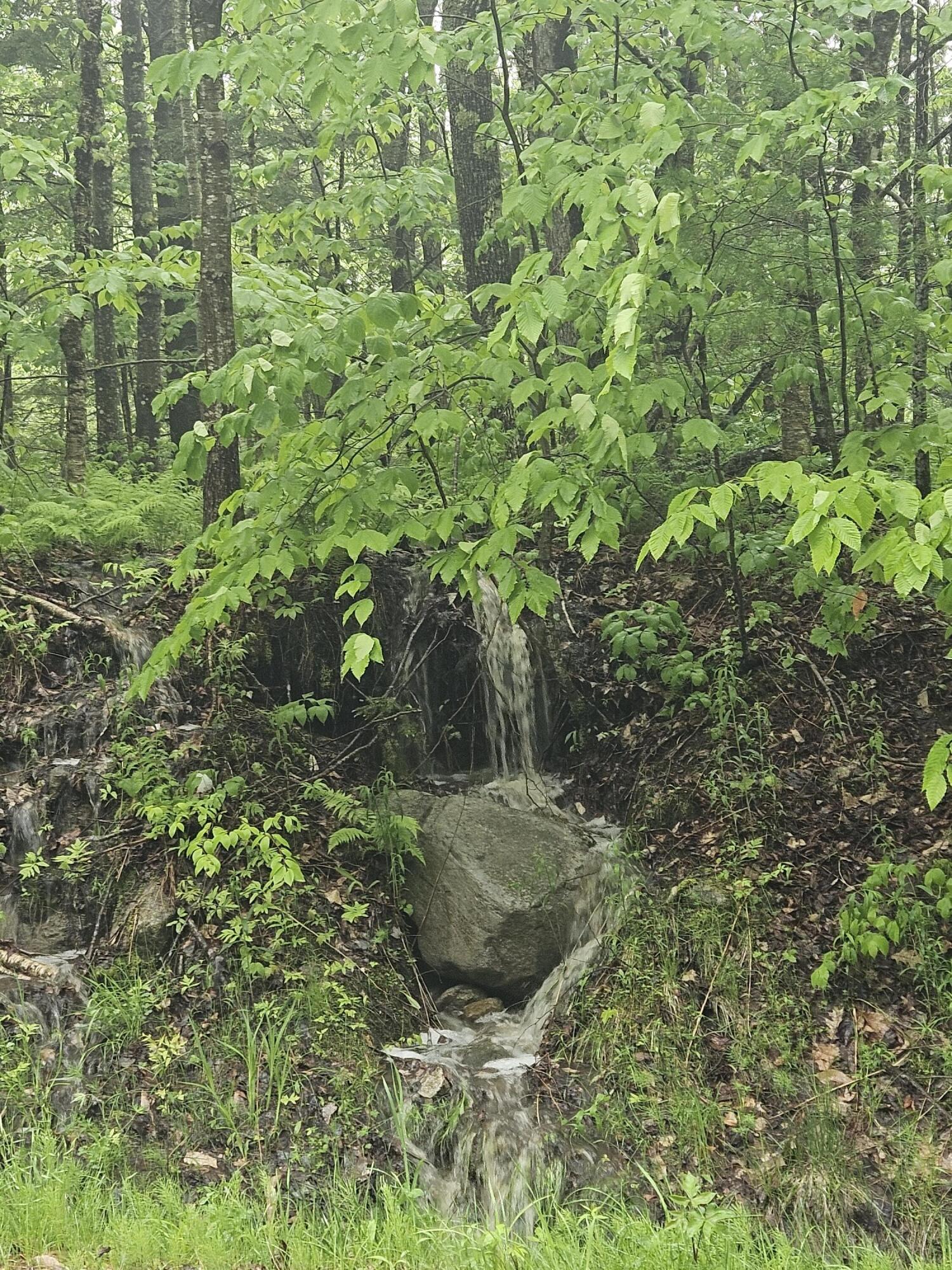 0 Fayette Ridge Road Kents Hill, ME 04349 - Photo 5 of 9 20240523_144002 (1)