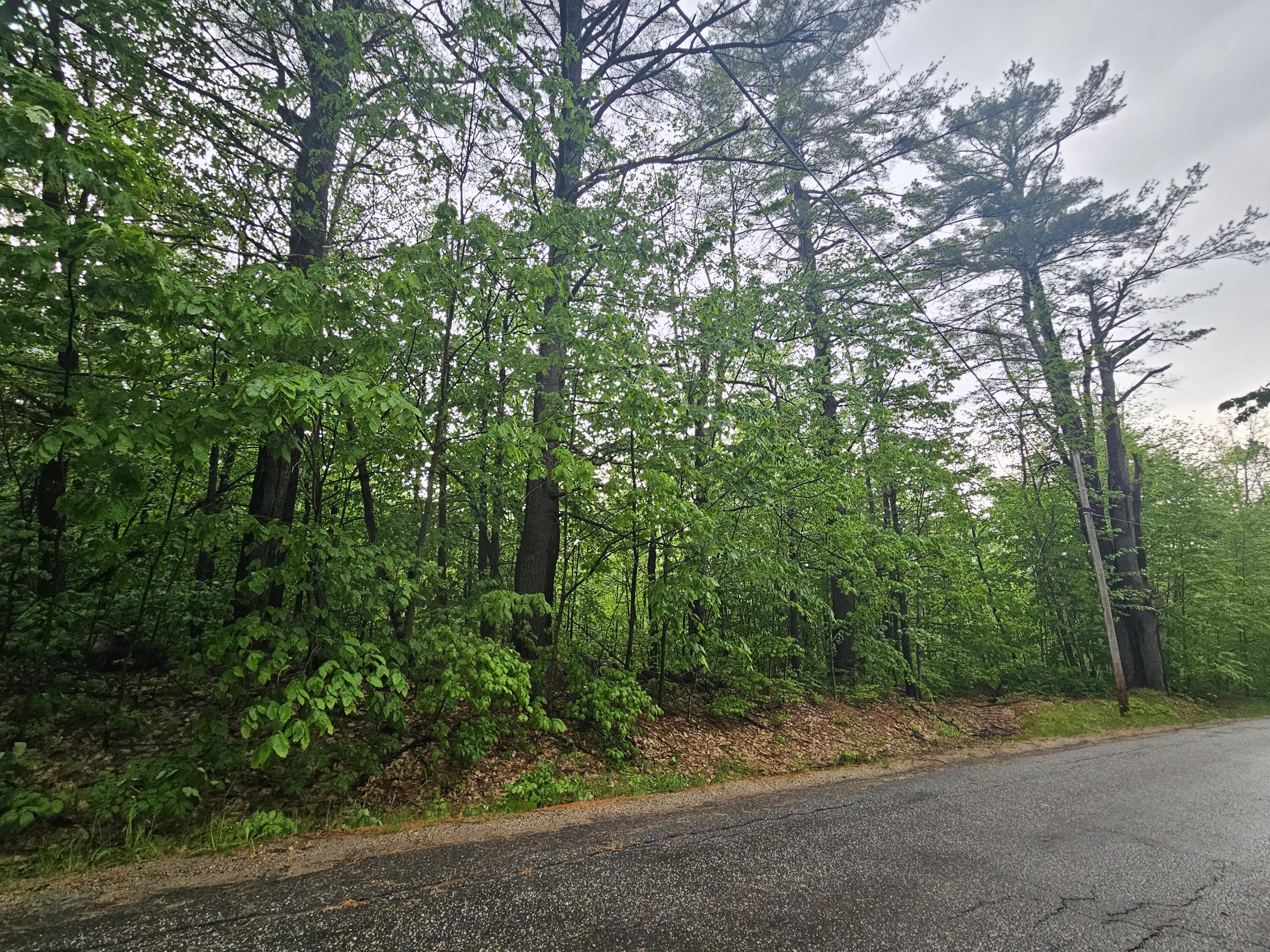0 Fayette Ridge Road Kents Hill, ME 04349 - Photo 7 of 9 20240523_143433
