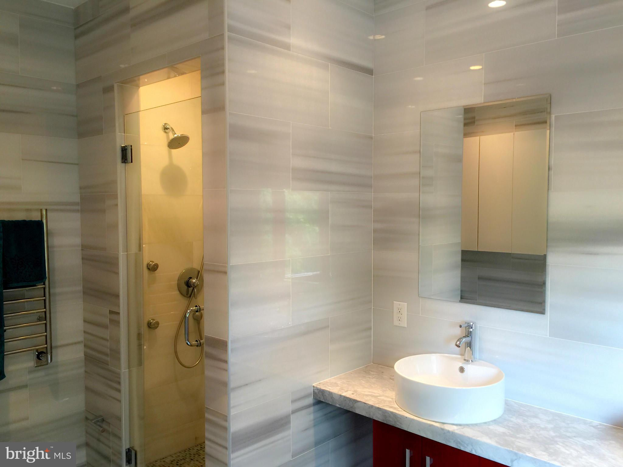 25215 Old Hundred Road Dickerson, MD 20842 - Photo 18 of 30 Bath (Master)