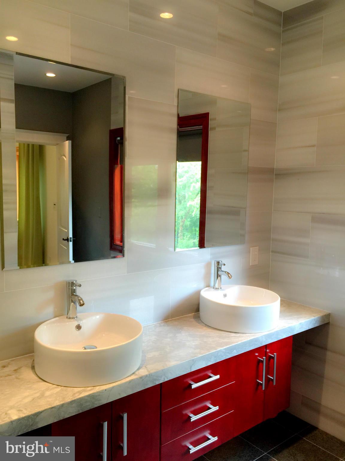 25215 Old Hundred Road Dickerson, MD 20842 - Photo 5 of 30 Bath (Master)