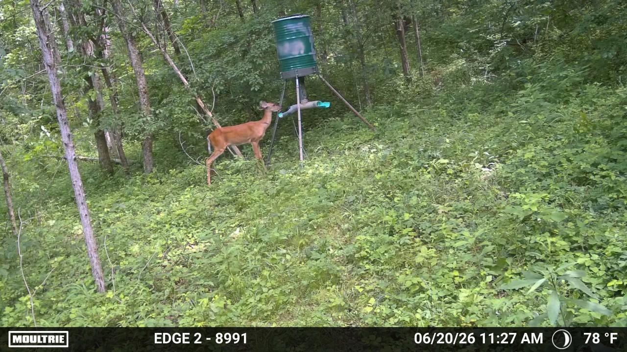 10792 New Columbus Road Owenton, KY 40359 - Photo 3 of 22 WL1