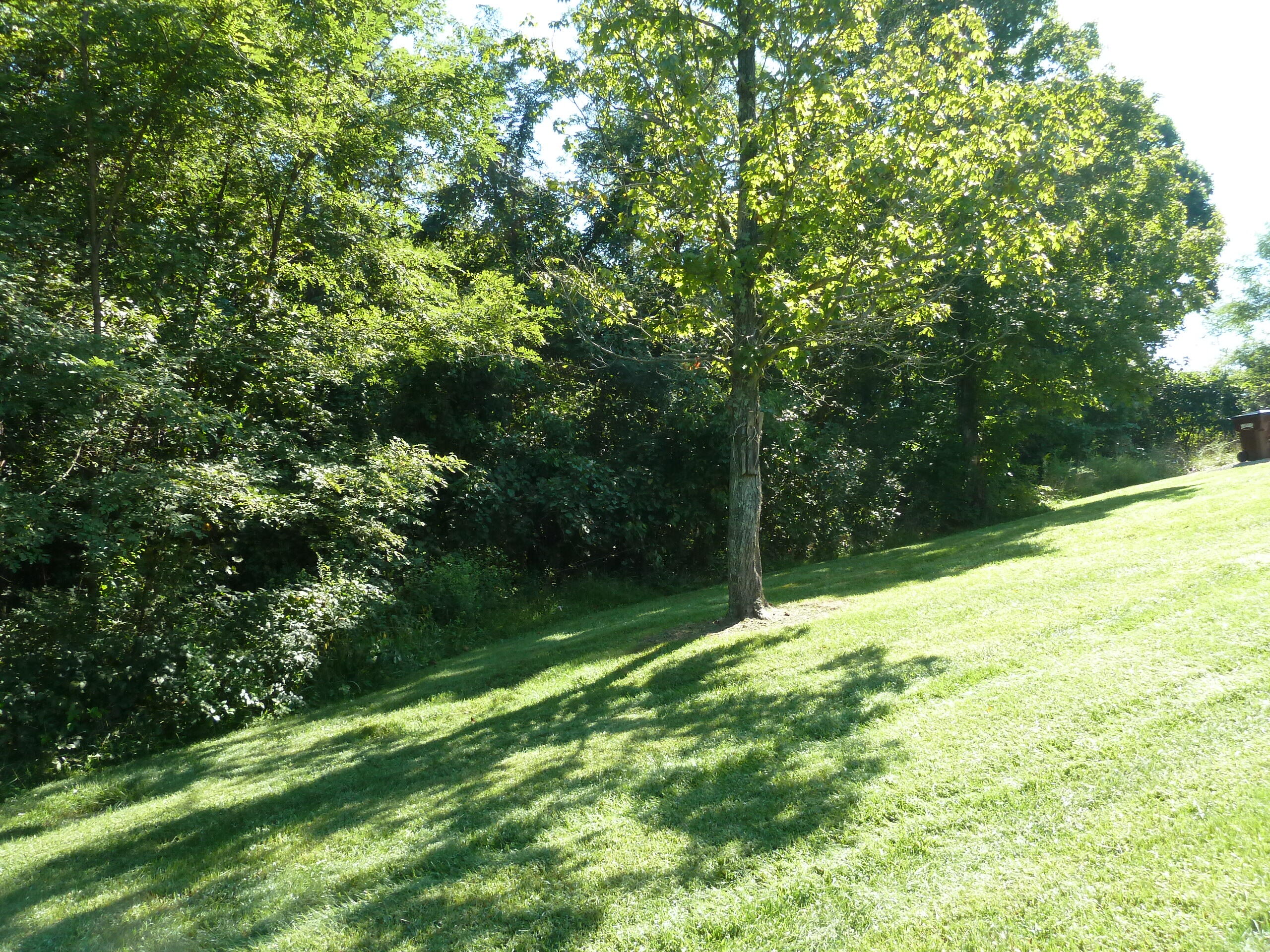 268 North Dividing Ridge Road Sadieville, KY 40370 - Photo 63 of 67 P1050056