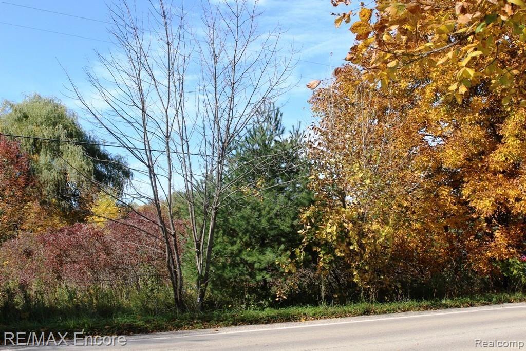 0 Hadley Road Ortonville, MI 48462 - Photo 2 of 18