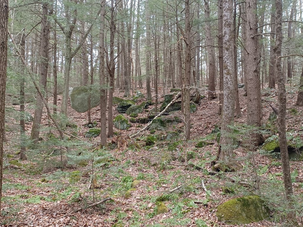 296 Northwest Road Westhampton, MA 01027 - Photo 3 of 12