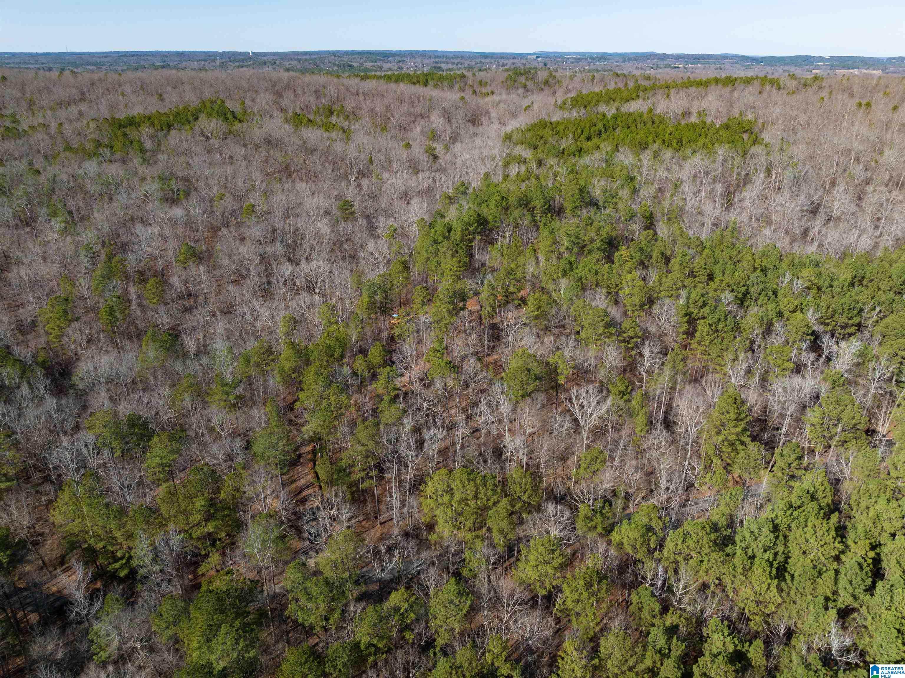 3659 McClendon Chapel Road, Unit 2 Bessemer, AL 35022 - Photo 4 of 44