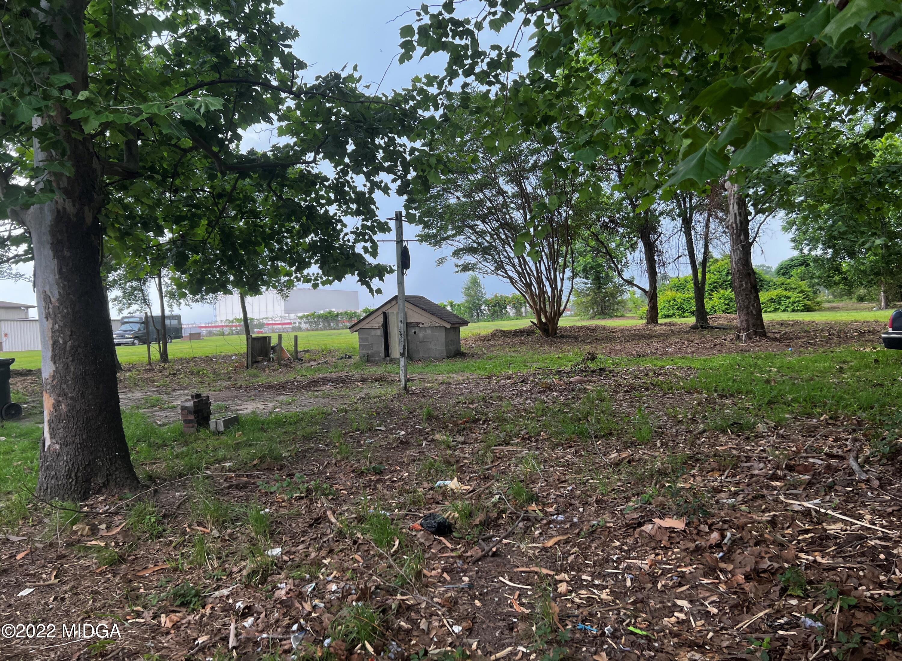 6509 Skipper Road Macon, GA 31216 - Photo 12 of 28 a view of a tree in the middle of a yard
