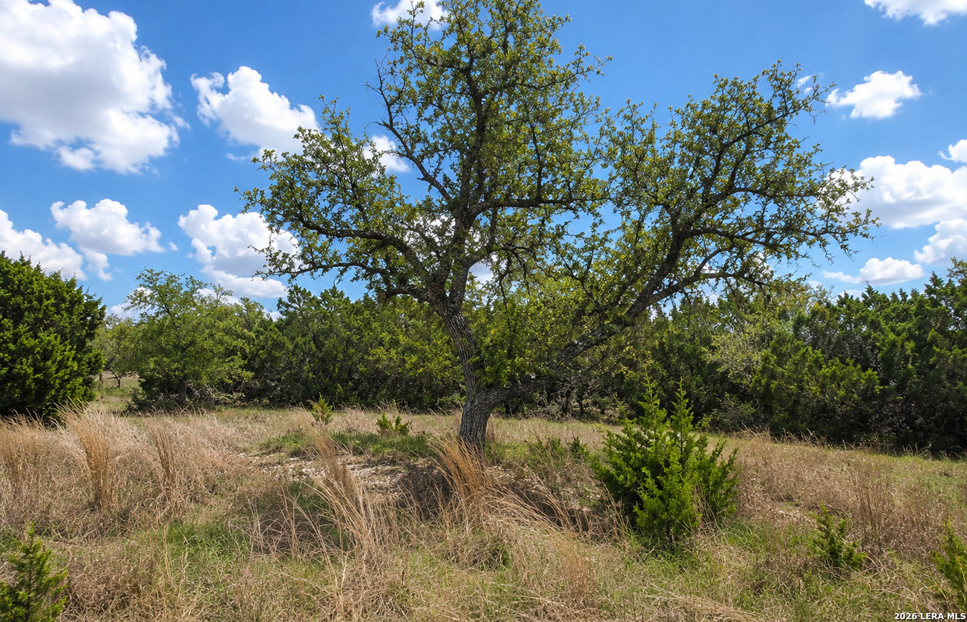 Tbd Falling Oak Blanco, TX 78606 - Photo 19 of 21