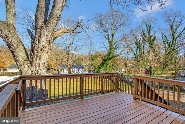 a view of yard with tree