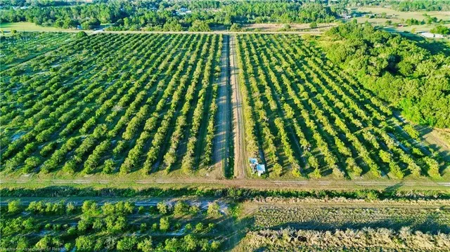 $320,000 | 2233 Hicks Road, Lorida, FL 33857