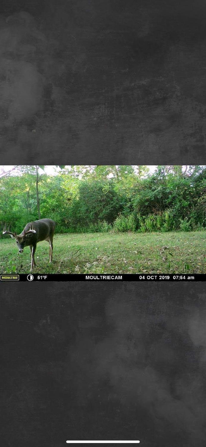 13946 Red Hog Pike Rising Sun, IN 47040 - Photo 18 of 20 Gallery Image 18