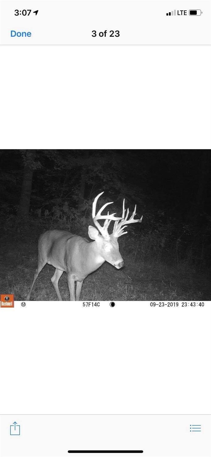 13946 Red Hog Pike Rising Sun, IN 47040 - Photo 19 of 20 Gallery Image 19