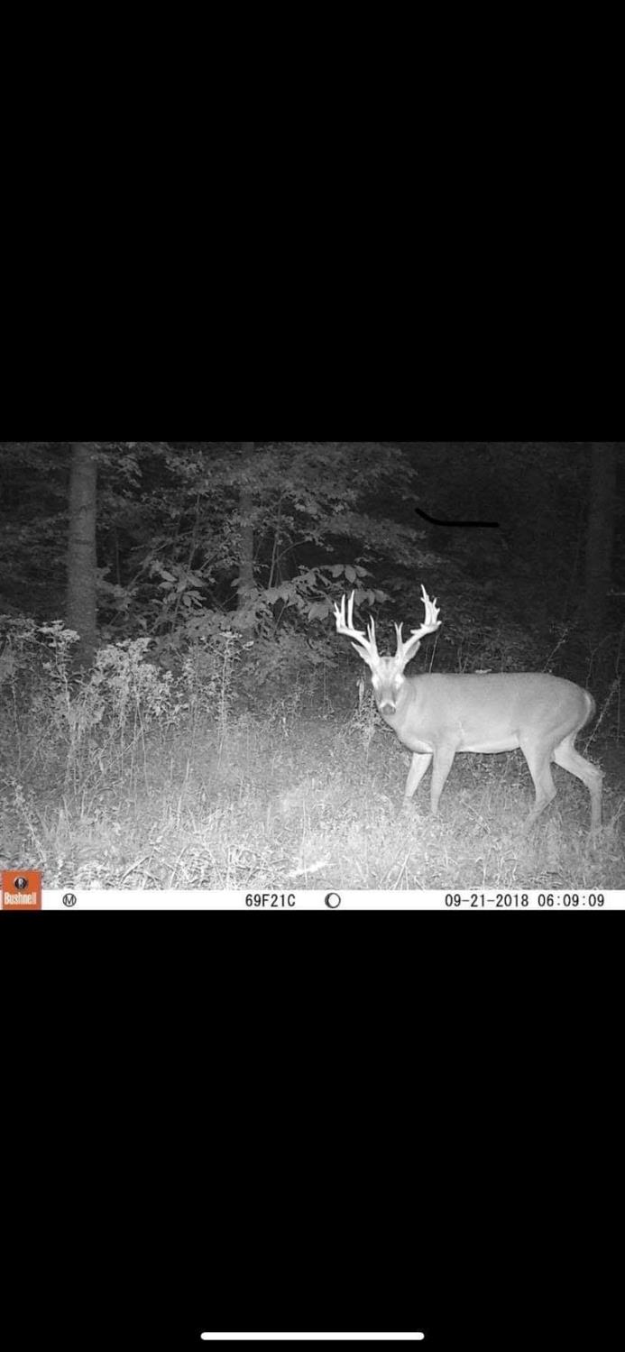 13946 Red Hog Pike Rising Sun, IN 47040 - Photo 20 of 20 Gallery Image 20