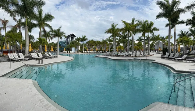 a view of a lake with palm trees